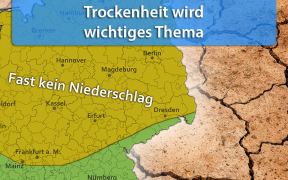 Zunehmendes Problem: Trockenheit