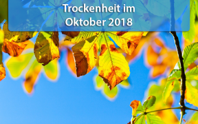 Trockenheit Oktober 2018