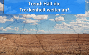 Trockenheit im Herbst 2018