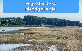 Niedrigwasser Oktober 2018