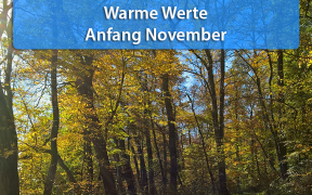 Zu warm Anfang November 2018