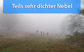 Dichter Nebel Anfang November 2018