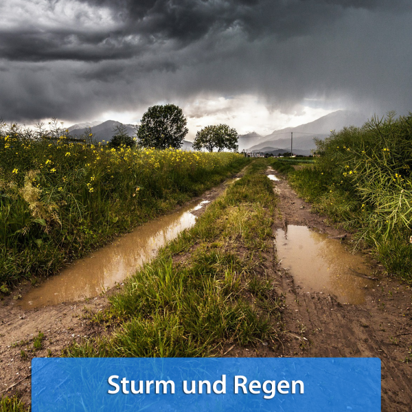 Ende November 2018 Sturm und Regen