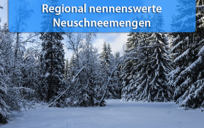 Neuschnee Anfang Januar 2019