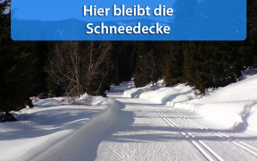 Geschlossene Schneedecke Mitte Januar 2019