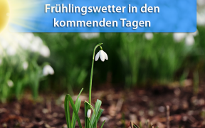 Frühlingswetter ab 13. Februar 2019