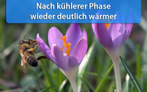 Warme Luft Ende Februar 2019