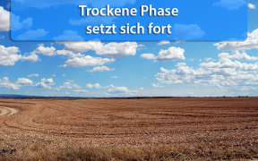 Trockenheit Ende Februar 2019