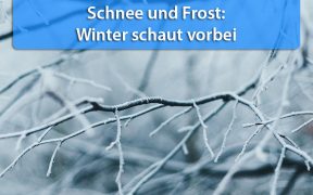 Schnee und Frost Mitte April 2019