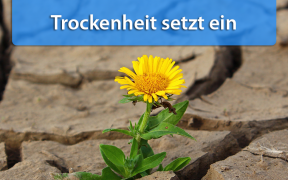 Trockenheit Mitte und Ende April 2019