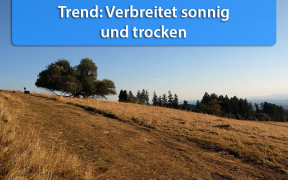 Ende Juni und Anfang Juli 2019 trocken und sonnig