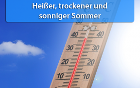 Rückblick Sommer 2019