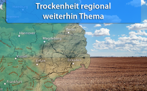 Trockenheit Anfang September 2019