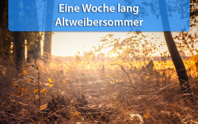 Altweibersommer Mitte September 2019