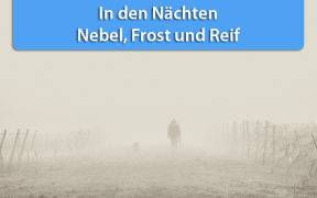 Nebel und Frost Hoch Hanneke September 2019