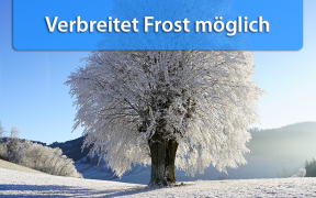 Frost Anfang Oktober 2019