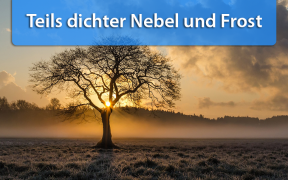 Nebel Hoch Jennifer Oktober 2019