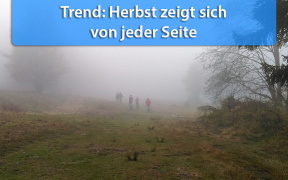 Wettertrend Anfang November 2019