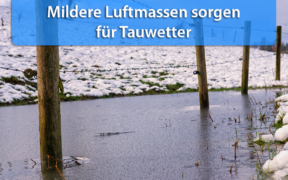 Mildere Luft 19. bis 23. November 2019