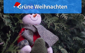 Milde Weihnachten 2019