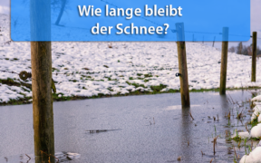 Schnee Anfang Januar 2020