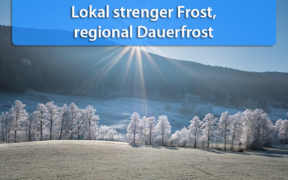 Frost Ende Januar 2020