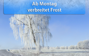 Frost Hoch Ekart Ende Januar 2020