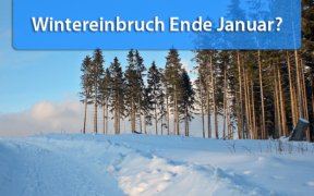 Wintereinbruch Monatswechsel Januar / Februar 2020