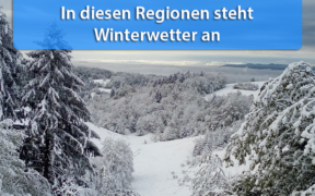 Schnee Anfang Februar 2020