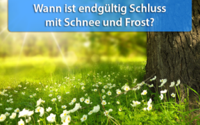 Frühling 2020