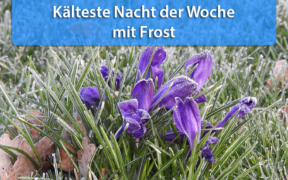 Frost Mitte April 2020