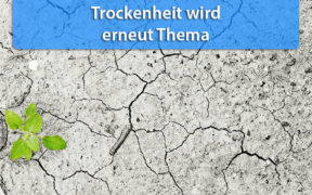 Trockenheit Ende Mai 2020