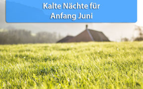 Kalte Nächte Anfang Juni 2020