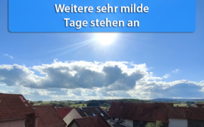 Sehr mild Mitte November 2020