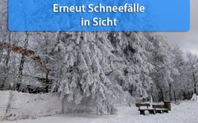 Schnee Anfang Dezember 2020