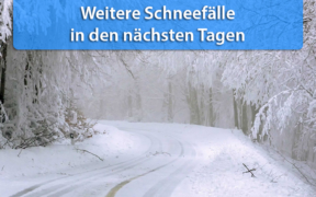 Neuschnee Anfang Januar 2021