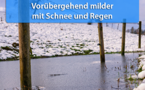 Tauwetter 12. Januar 2021