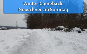 Neuschnee 24. Januar 2021