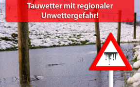 Tauwetter Ende Januar 2021