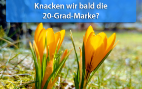 Frühling im Februar 2021