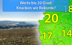 Zu warm Ende Februar 2021