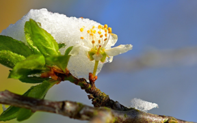 Schnee Anfang Mai 2021