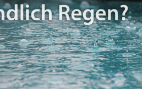 Endlich Regen Anfang Mai 2021