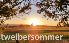 Altweibersommer 2021