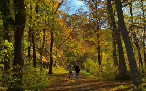 Frühherbst 2021