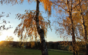 Goldenes Herbstwetter Ende Oktober 2021