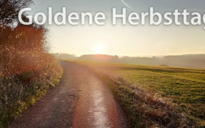 Goldender Herbst November 2021