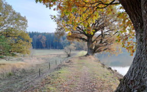 Trockenheit November 2021