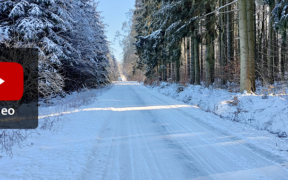 Wintereinbruch letztes November-Drittel