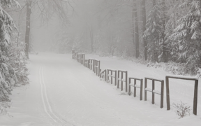 Regelmäßig Schnee Anfang Dezember 2021